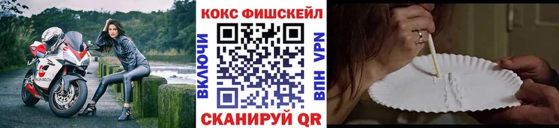 Купить где Дятьково COCAIN Fish Scale