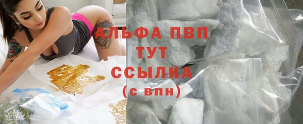 соль ск Инсар