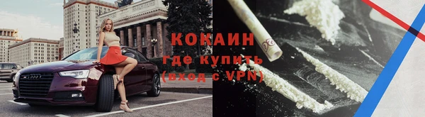 соль ск Инсар