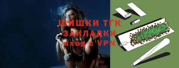 соль ск Инсар