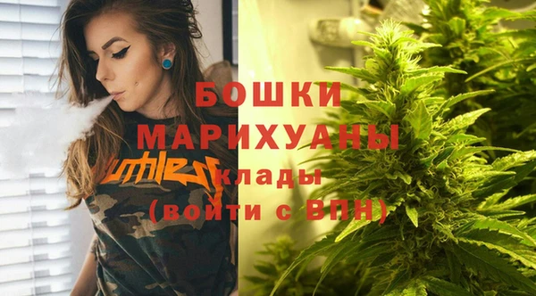 соль ск Инсар