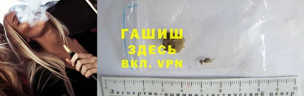 соль ск Инсар