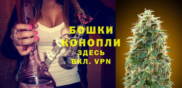 соль ск Инсар