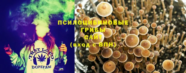 тгк Иннополис