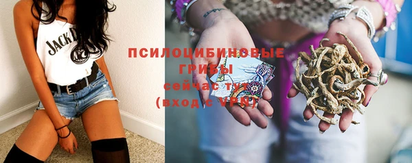 соль ск Инсар