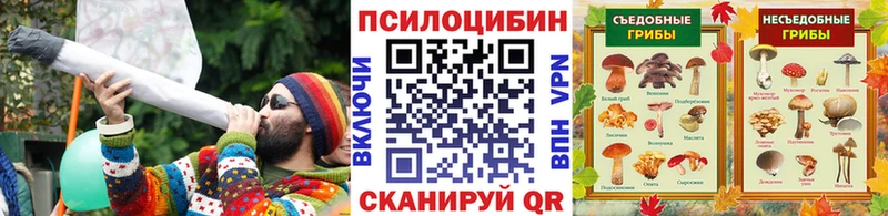Купить  Дятьково  Псилоцибиновые грибы Psilocybine cubensis 